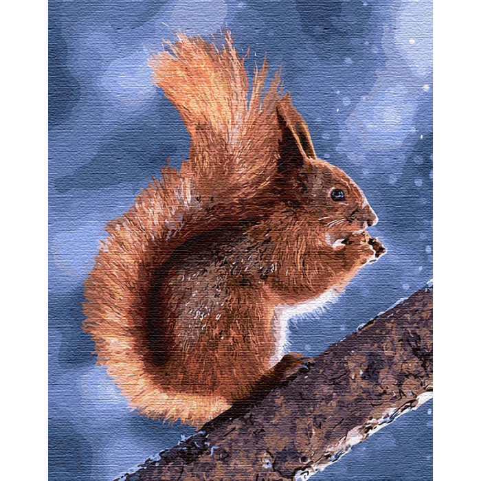 Картина за номерами Ідейка Маленька білочка 40х50 см (KHO4205) Чернигов - изображение 1