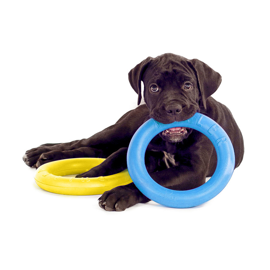 Тренировочный снаряд для собак PULLER Micro Colors of freedom диаметр 12.5 см Киев - изображение 2