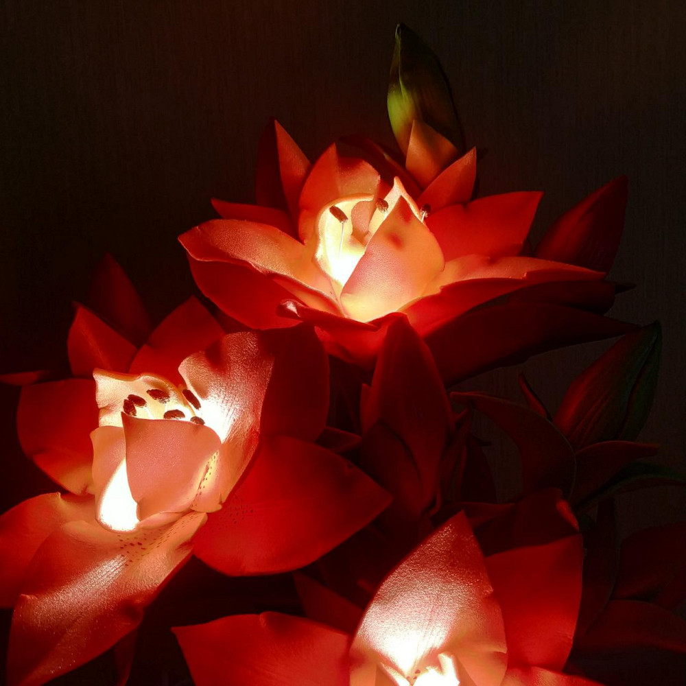 Світильник-нічник "Червоні лілії" Дніпро - фото 5