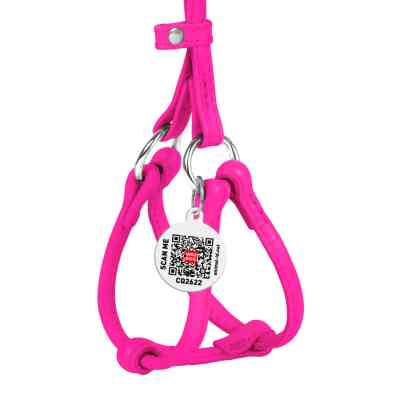 Шлея для собак WAUDOG Glamour з повідцем кругла Д 6 мм А 26-46 см В 30-50 см рожева (34017) Вінниця