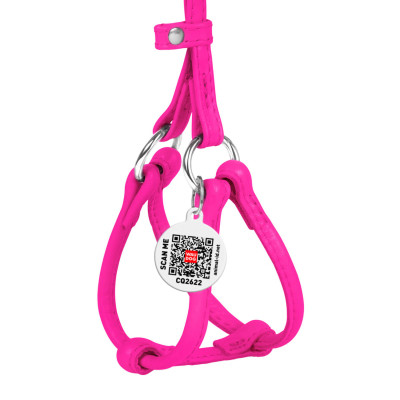 Шлея для собак WAUDOG Glamour з повідцем кругла Д 6 мм А 26-46 см В 30-50 см рожева (34017) Вінниця - фото 2