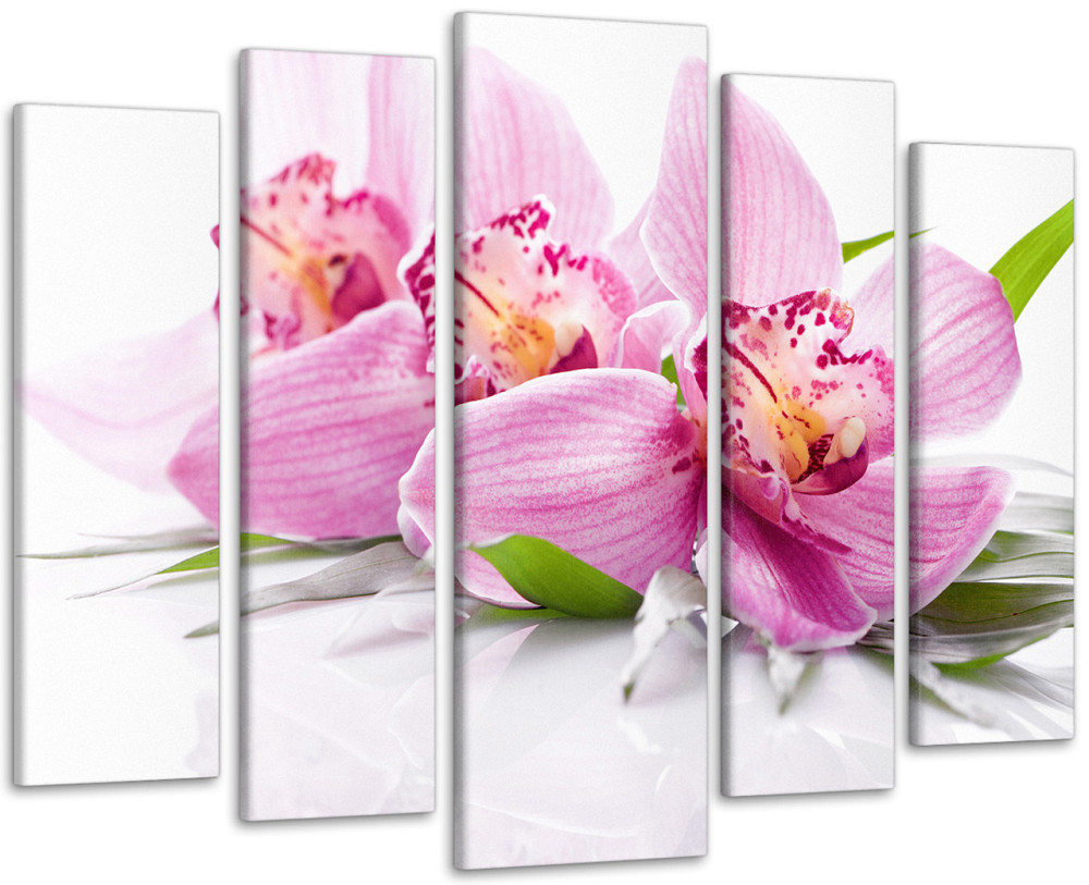 Модульна картина Квіти Орхідея Art-59_5 Київ - фото 1