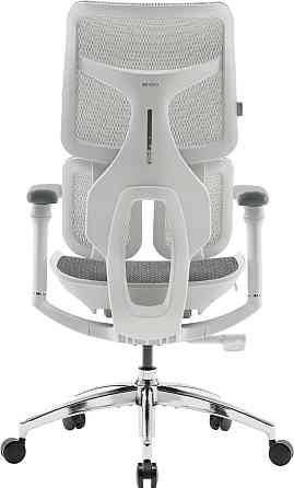 Крісло офісне Sihoo Doro S100 Mesh White (S100-M302) ( 24960 ) Харків