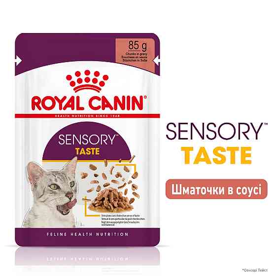 Вологий корм для дорослих котів ROYAL CANIN SENSORY TASTE GRAVY 85 г, шматочки у соусі, cтимулює смак Київ