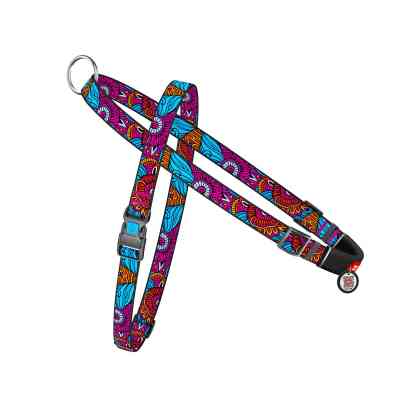 Шлея для собак WAUDOG Nylon з QR-паспортом "Літо" L (5438) Вінниця