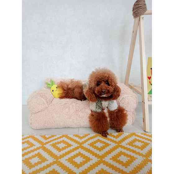 Хутряний диван лежак для собак і кішок спальне місце для тварин знімни Incor бежевий 10079 M (66х37х33) Київ