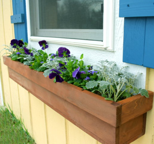 Цветочник подоконный 