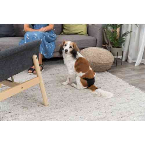 Одежда Trixie трусы для собак черные 40х49 см Киев