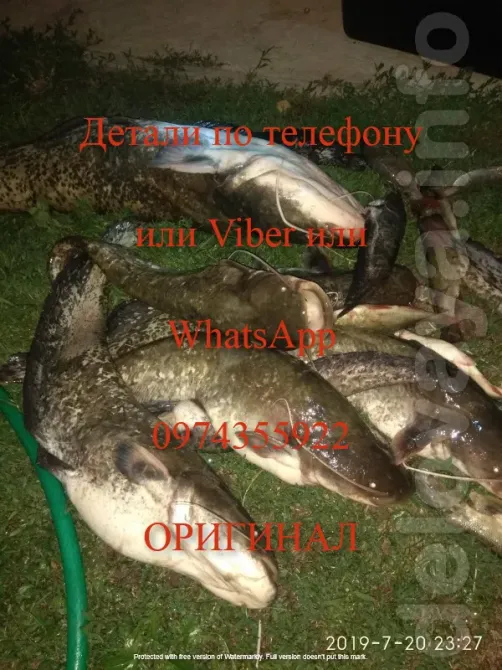 Самус 1000 Rich P 2000 Винница - изображение 1