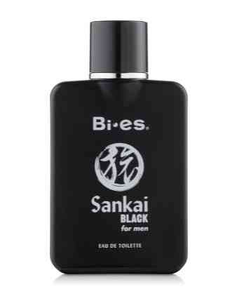 Туалетная вода мужская Bi-Es Sankai Black 100 мл Санкаи блек Би ес Запорожье