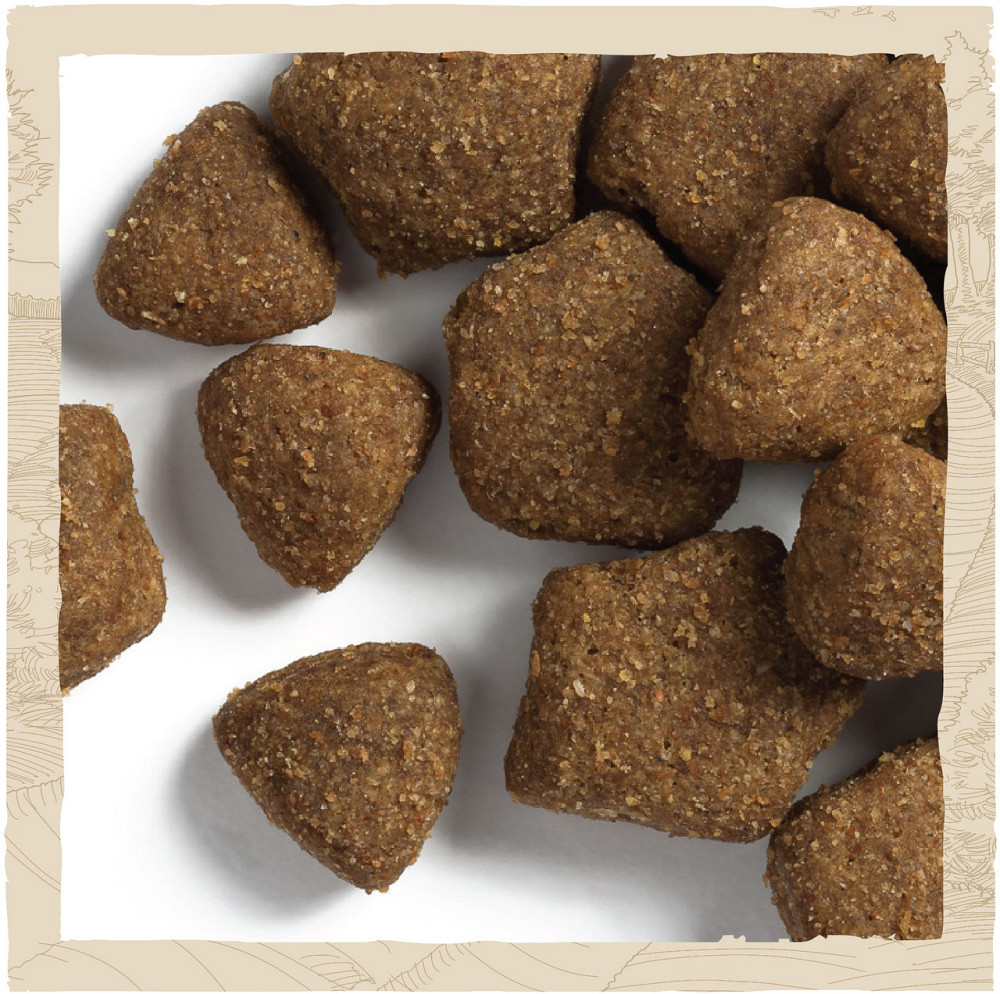 Сухий корм DOG CHOW Adult 1+ для дорослих собак, з ягням, 2.5 кг Київ - фото 8