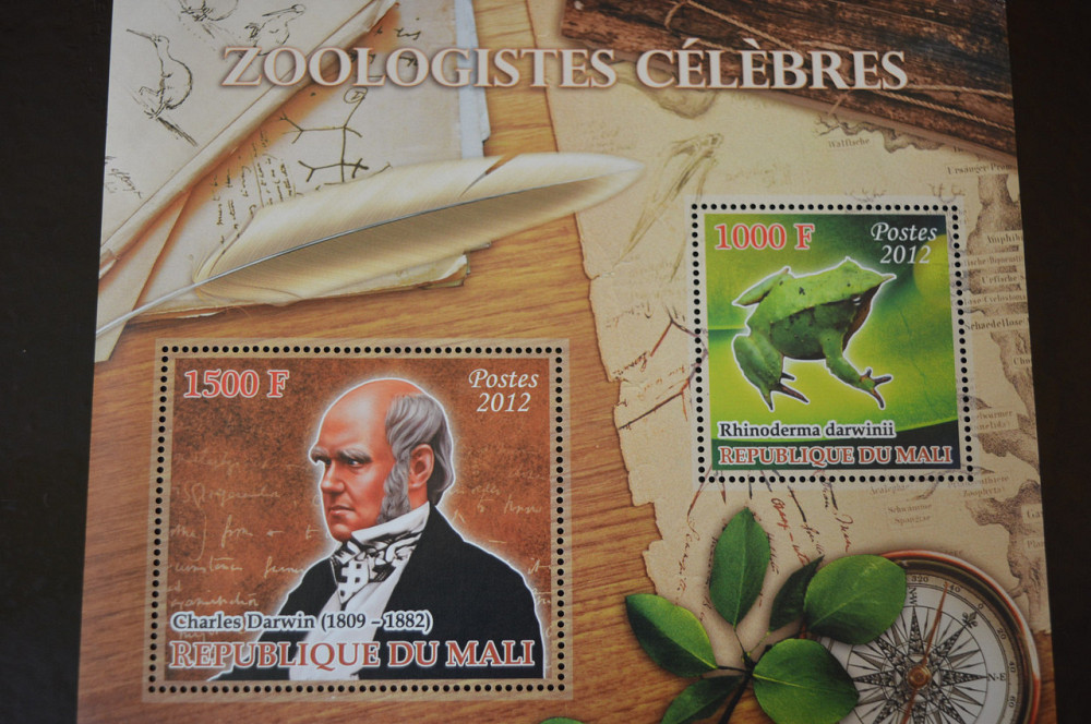 Марки. Фауна. Блок. 2010 рік (А-31) Полтава - фото 1