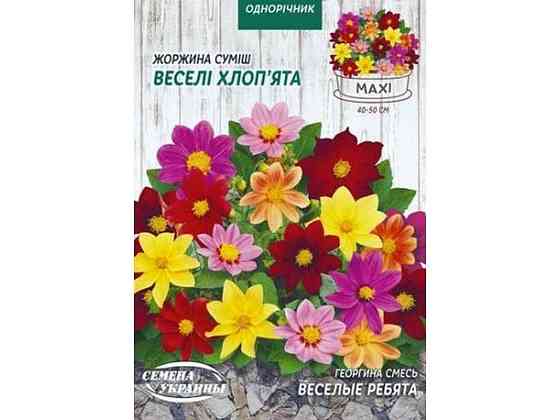 Максі Георгіна ВЕСЁЛЫЕ РЕБЯТА (смесь) 2г (10 пачок) ТМ НАСІННЯ УКРАЇНИ Київ