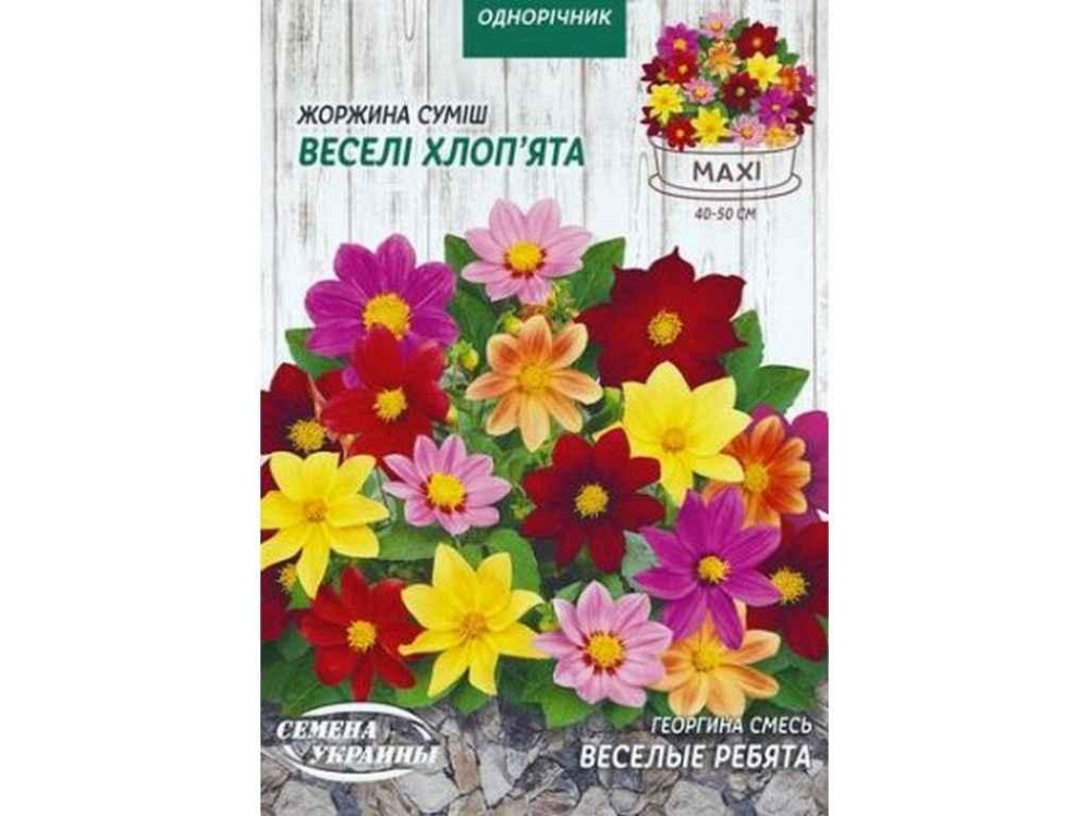 Максі Георгіна ВЕСЁЛЫЕ РЕБЯТА (смесь) 2г (10 пачок) ТМ НАСІННЯ УКРАЇНИ Київ - фото 1