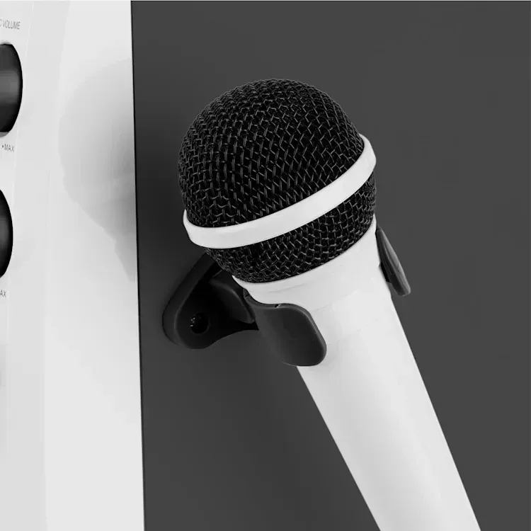 УЦЕНКА! Караоке система Auna Kara Liquida BT из Германии Днепр - изображение 5