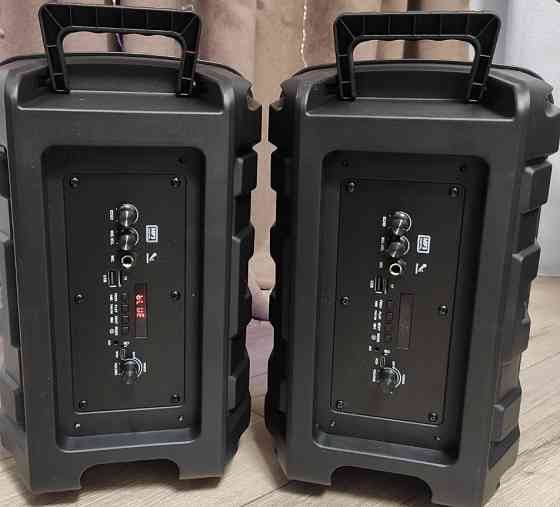 Стерео акустика GW-818BM из двух колонок с функцией TWS/караоке. Киев