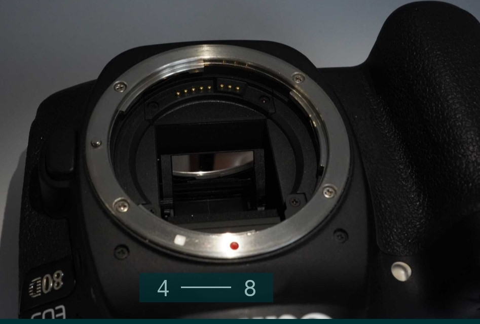 Фотоапарат: Canon EOS 80D + Об'єктив EF 50 mm. F/1.8 STM. Київ - фото 7