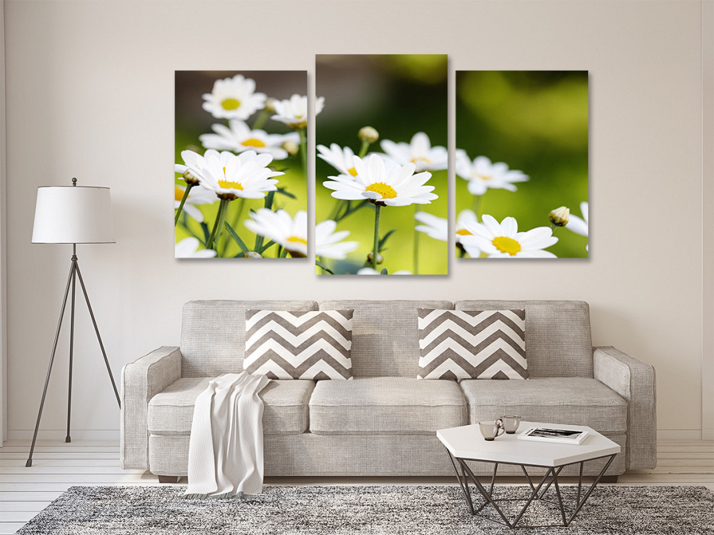 Модульная картина в гостиную / спальню  Ромашки Art-537_3 70x130 см Киев - изображение 2