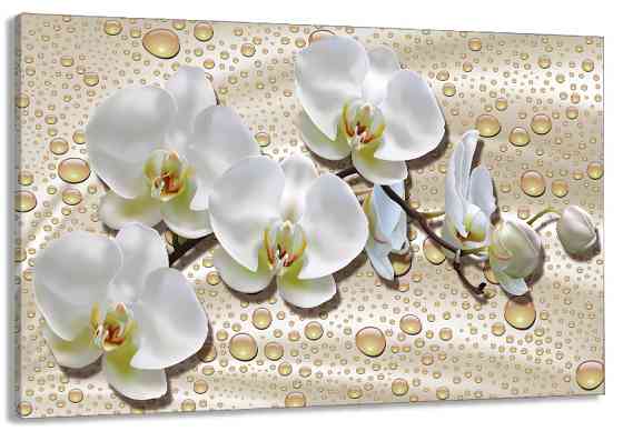 Картина холст в гостиную / спальню   Орхідея  MLP_325 80x120 см Киев