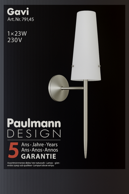 Настенный светильник Paulmann Gavi 23W, E27 230V дизайнерский бра с белым плафоном, металлический корпус 550мм Киев - изображение 1