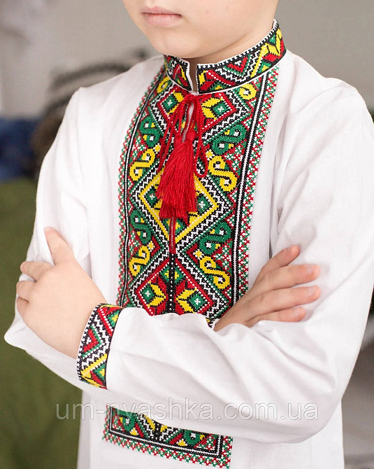 Вишиванка для хлопчика "Ярослав" жовто-зелено-червона Кривий Ріг - фото 3