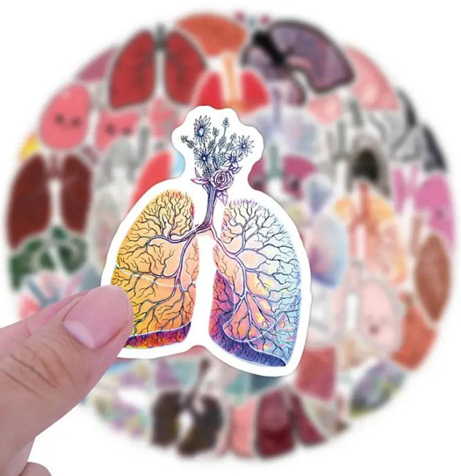 Медичні анатомічні наліпки "Легені людини". Водонепроникні вінілові естетичні наліпки набір 50 шт.,  Київ - фото 3