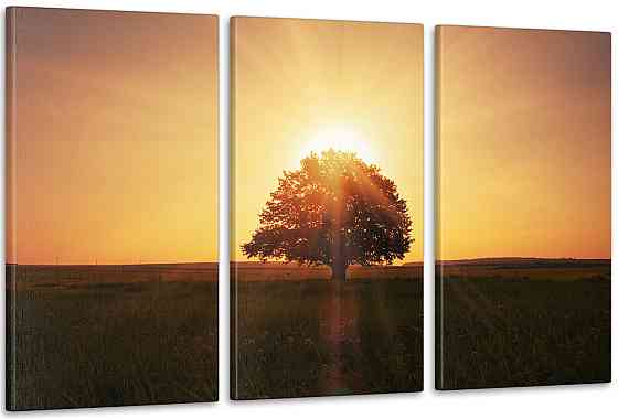 Модульна картина Природа Дерево Art-39_3А Київ