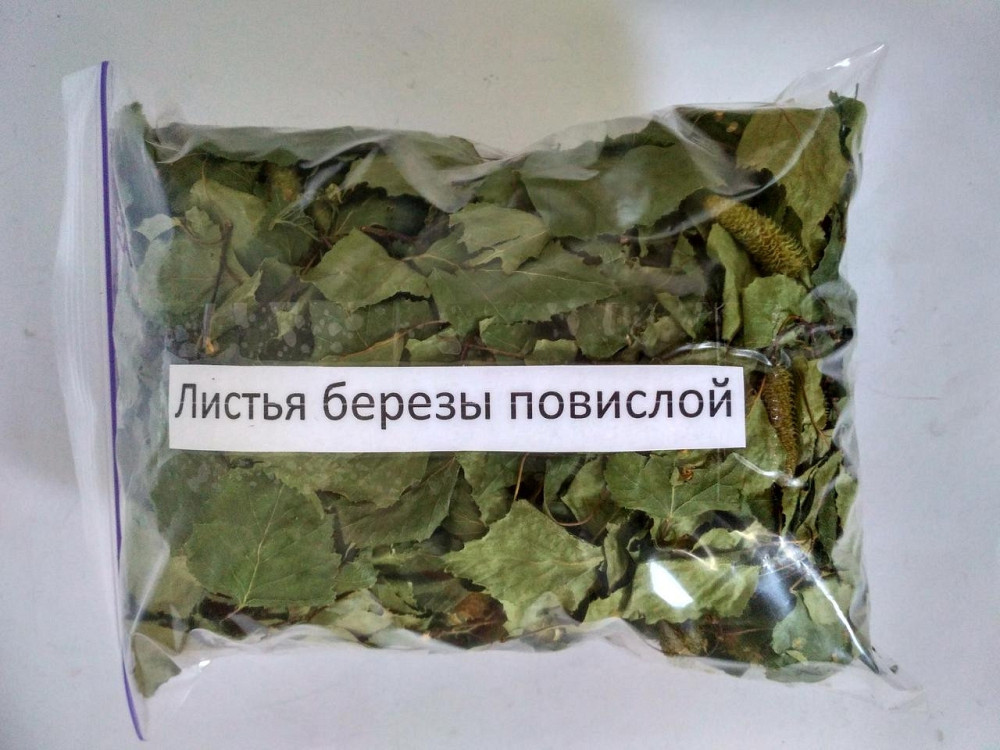 Листя  берези білої (Лист березы белой)100г master sem Киев - изображение 1