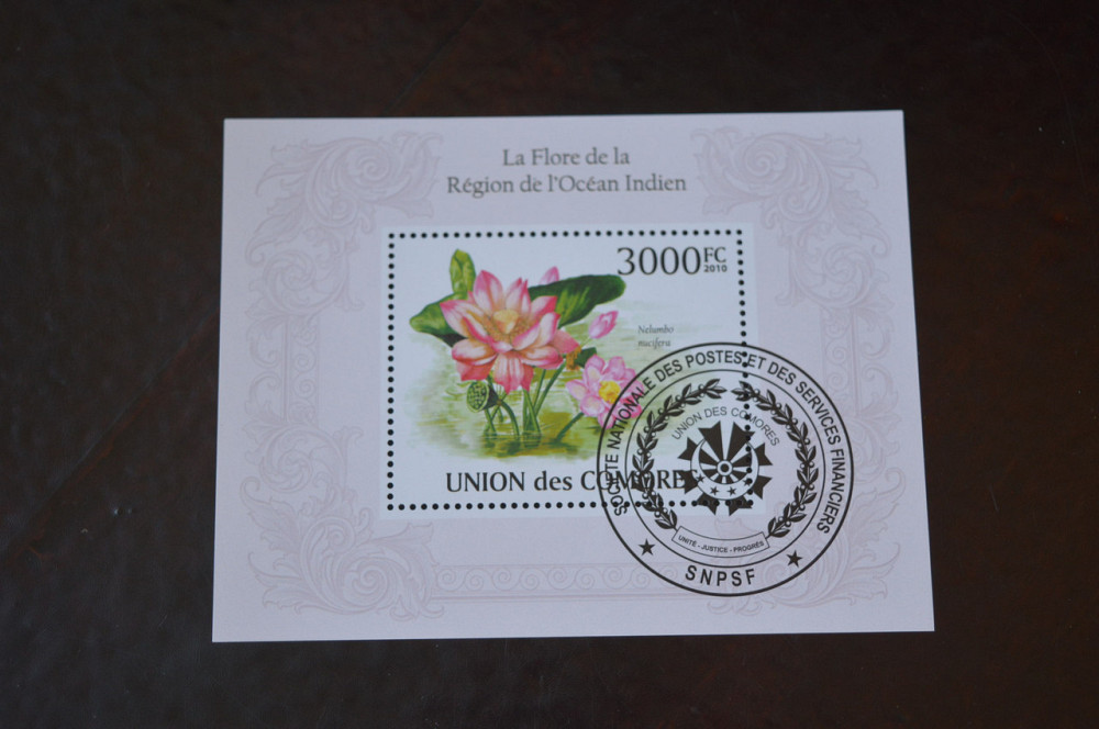 Коморы. История. Фауна. Блок. 2010 год (Б-4) Полтава - изображение 1