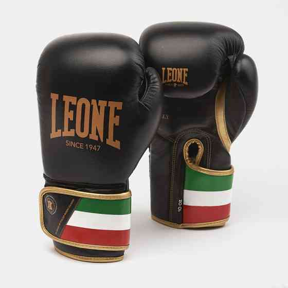 Боксерські рукавички Leone Italy Black 12 ун. Каменское