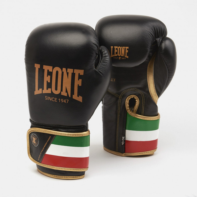 Боксерські рукавички Leone Italy Black 12 ун. Каменское - изображение 1