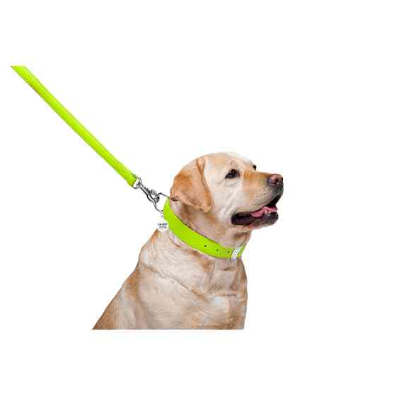Повідець для собак шкіряний WAUDOG Glamour, Ш 25 мм, Дов 122 см салатовий Коломия