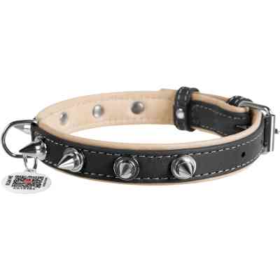 Ошейник для животных WAUDOG Soft с QR паспортом с шипами Ш 20 мм Д 30-39 см черный (7192) Винница