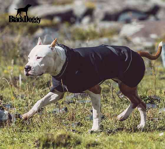 Куртка для собак BlackDoggy (БлекДоггі) VC19-JK008 XL, Чорний Запоріжжя