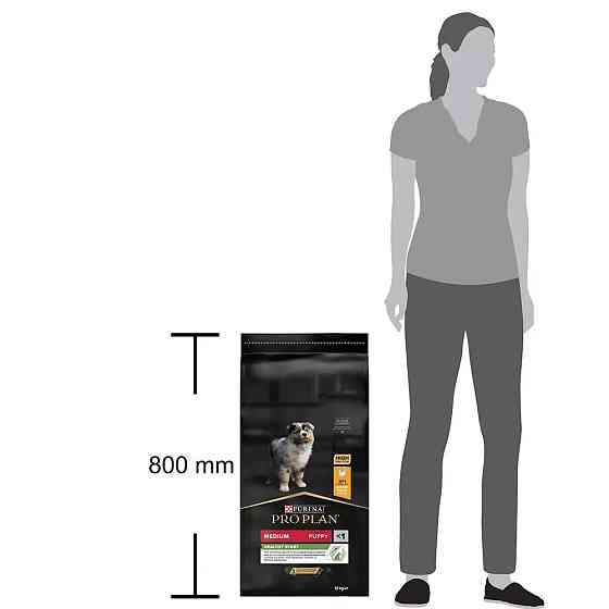 Сухий корм PRO PLAN Medium Puppy  Київ