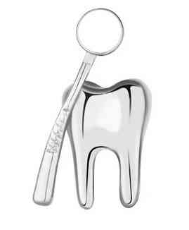 Брошка срібляста Зуб Київ