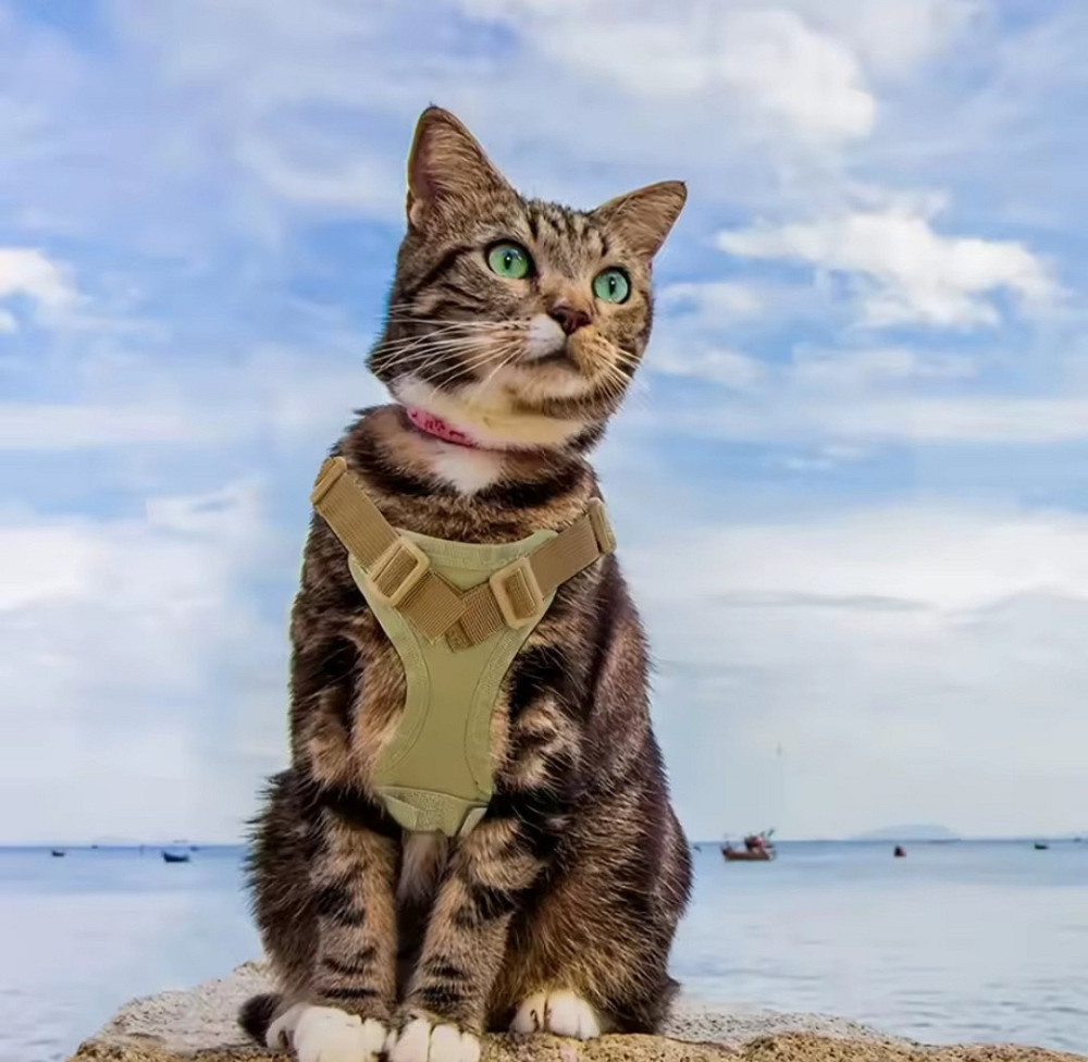 Шлея для собак та кішок One Size камуфляжний Київ - фото 4