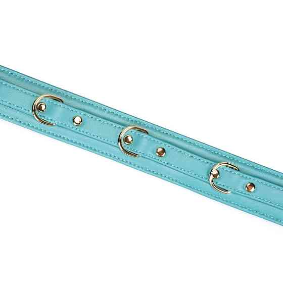 Ошейник с поводком Liebe Seele Blue Lamb Leather Collar with Velvet Lining Sex Aura Киев