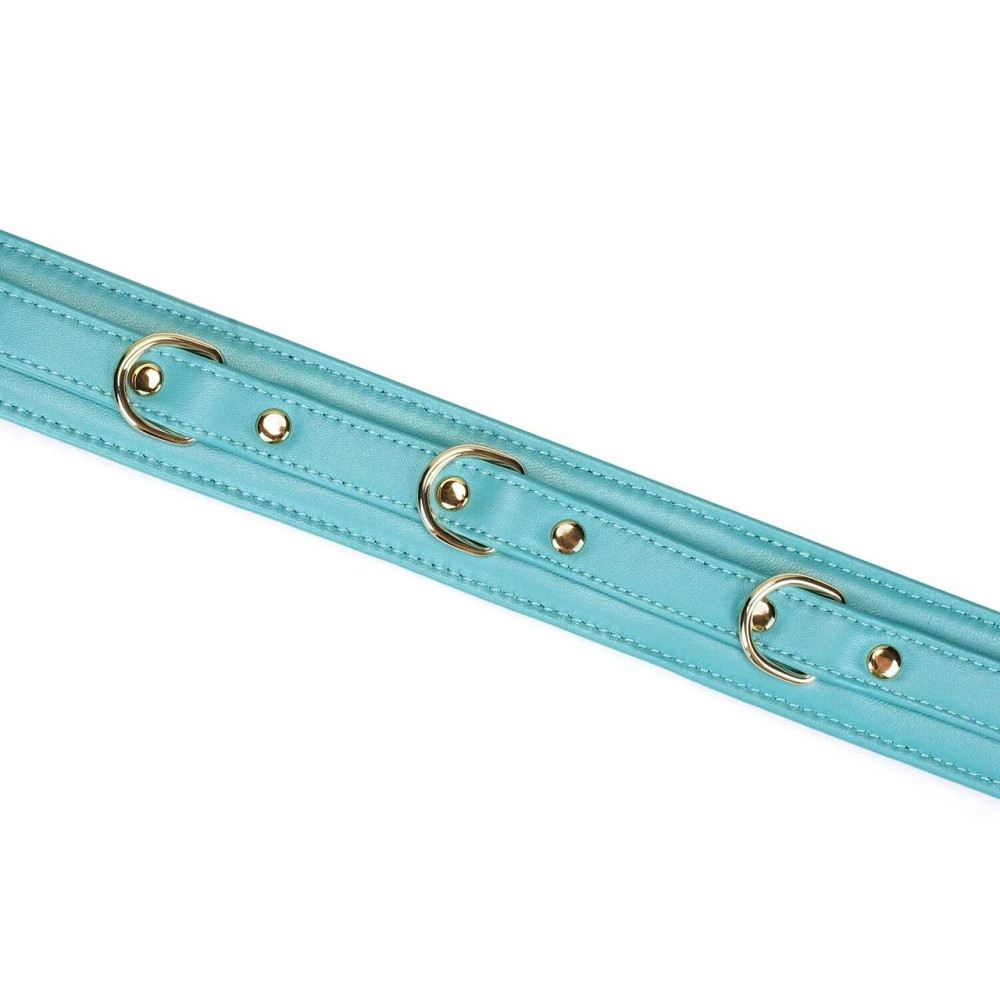 Ошейник с поводком Liebe Seele Blue Lamb Leather Collar with Velvet Lining Sex Aura Киев - изображение 6