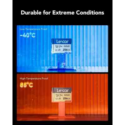 Карта пам&apos;яті Lexar 256GB microSDXC class 10 UHS-II U3 V60 A1 Professional Gold (LMSGOLD256G-BNNNG) Вінниця