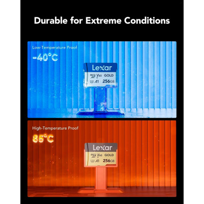 Карта памяти Lexar 256GB microSDXC class 10 UHS-II U3 V60 A1 Professional Gold (LMSGOLD256G-BNNNG) Винница - изображение 6