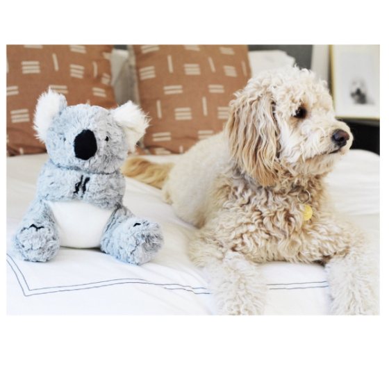 Іграшка для собак Patchwork Pet Koala (Печворк Пет Коала) 380 Запоріжжя
