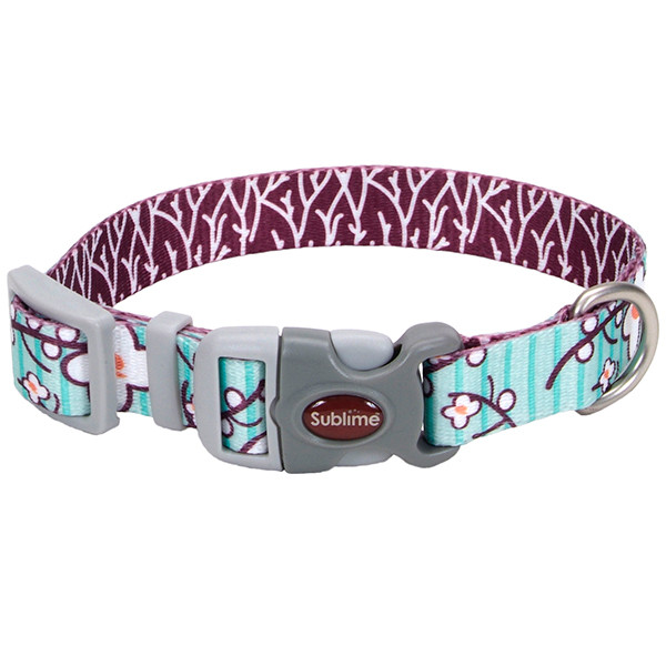 Coastal Sublime КОСТАЛ СУБЛИМ ошейник для собак, 1.9x30см Киев - изображение 1