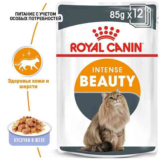 Royal Canin Intense Beauty Jelly (Роял Канін Інтенс Б'юті) вологий корм для кішок для шкіри та шерсті 85 г х 12 шт. Запоріжжя