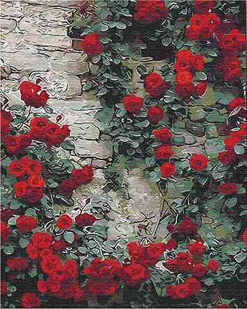 Квіти біля дому Київ