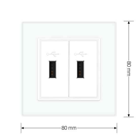 Розетка подвійна USB з блоком живлення Livolo білий скло (VL-C792U-11) Коломыя