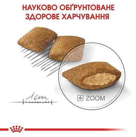 Корм для собак ROYAL CANIN MINI EXIGENT 3.0 кг – сухой корм для привередливых собак малых размеров Киев
