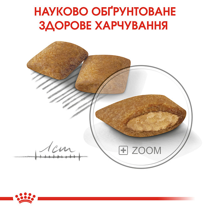 Корм для собак ROYAL CANIN MINI EXIGENT 3.0 кг – сухой корм для привередливых собак малых размеров Киев - изображение 3