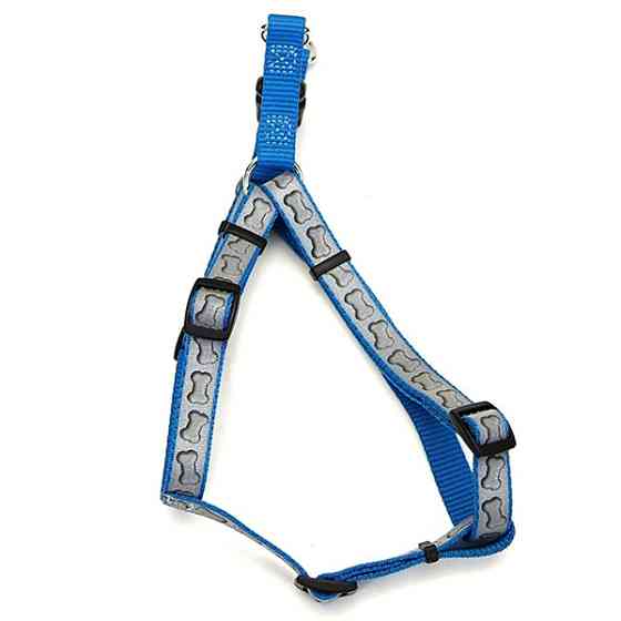 Coastal Lazer Brite КОСТАЛ ЛАЗЕР БРАЙТ светоотражающая шлея для собак, 2.5х66-97см Киев