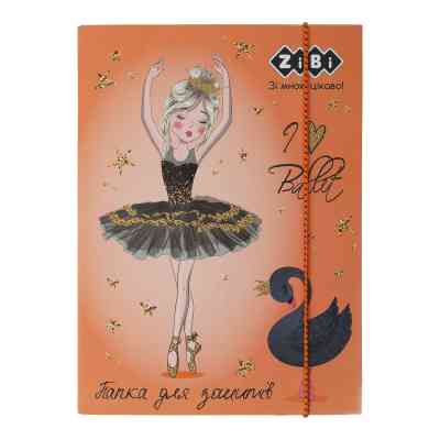 Папка для зошитів ZiBi В5+ AMAZING картонна, на гумках (ZB.14964) Вінниця